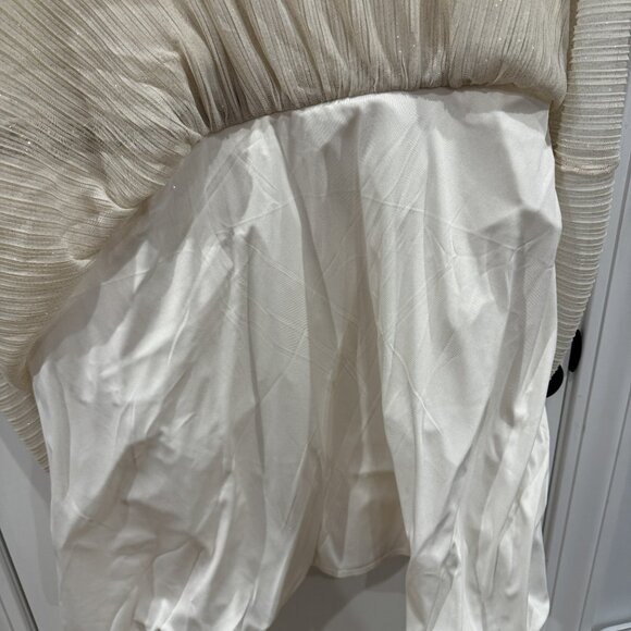 NWT 24W Gorgeous Sparkly Champagne Dress Formal Cocktail Dress NYE Beaded - Picture 6 of 9